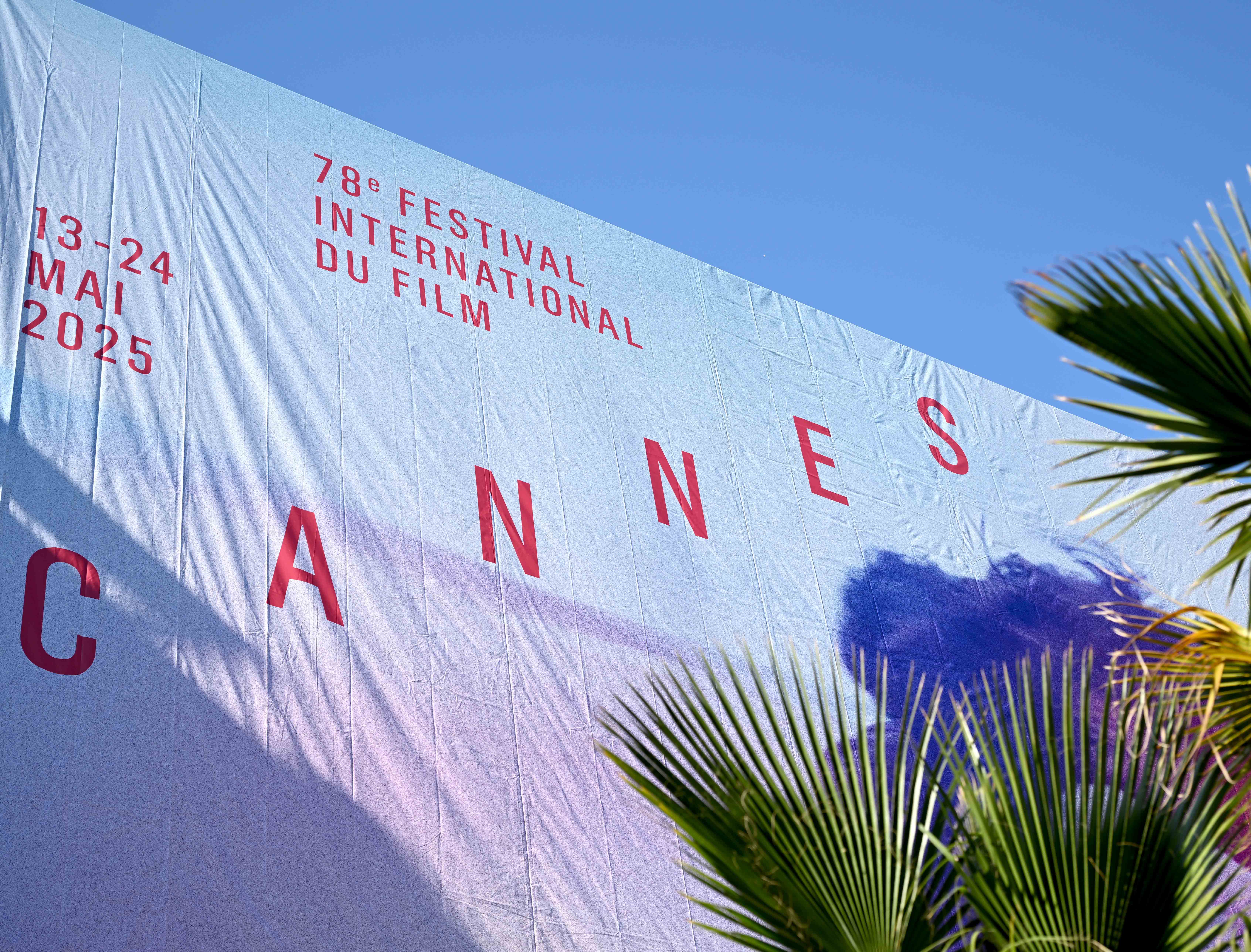 The 78th Annual Cannes Film Festival